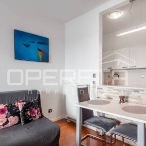 Najam, Stan, Špansko, Zagrebačka avenija, Garsonjera, 40m2