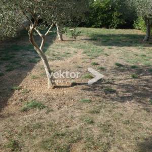 Novalja, hotel s uhodanim poslom