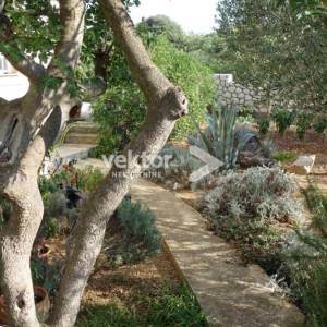 Novalja, hotel s uhodanim poslom