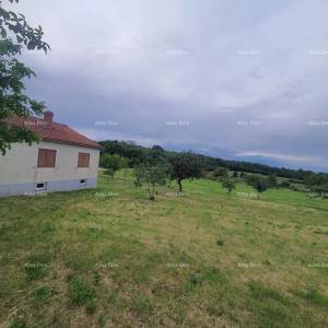 Obiteljska kuća s garažom, konobom i mogućnošću kupnje dodatnog zemljišta – 30 min od Pule