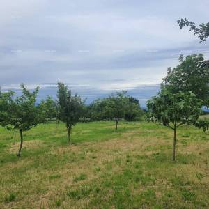 Obiteljska kuća s garažom, konobom i mogućnošću kupnje dodatnog zemljišta – 30 min od Pule