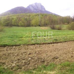 Ogulin - okolica, zemljište, građevinsko/poljoprivredno, 5.007m2