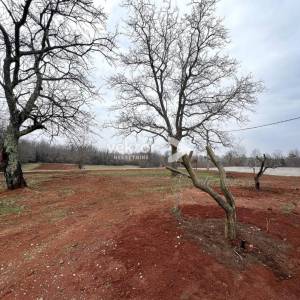 Okolica Barbana, kamena kuća s bazenom u fazi uređenja