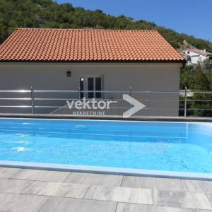 Okolica Senja, nova kuća s bazenom 