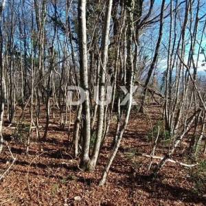 OPATIJA, BREGI- zemljište 6432 m2 (građevinsko 2355 m² i poljoprivredno 4077 m²) s panoramskim pogledom na more