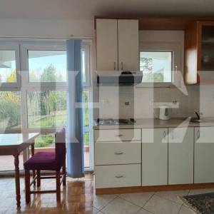 Otok Ugljan, Lukoran, apartman s vrtom, 150 m od mora