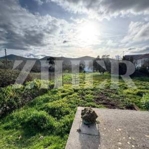 Otok Ugljan, Lukoran, kuća s okućnicom, 800 m od mora