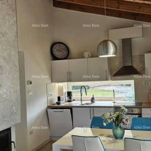 PAZIN, VILA S BAZENOM