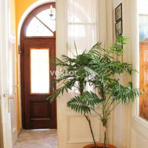 Pećine, stan s okućnicom i garažom, u staroj vili