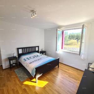 Peroj! Stan s dvorištem!