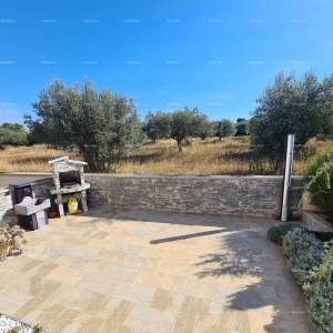 Peroj! Stan s dvorištem!