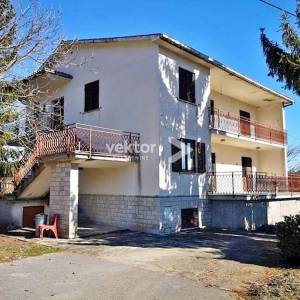 Pićan, kuća sa dva stana i 4500m2 građevinskog zemljišta