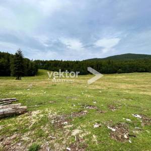 Platak, 10.780m2, zemljište u građevinskoj zoni 
