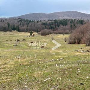 Platak, zemljište 6.350m2, sportsko-rekreativna zona