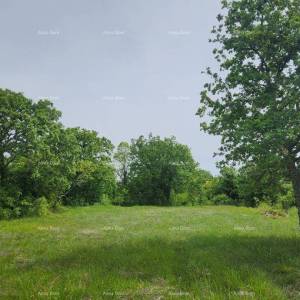 POREČ - Prodaje se građevinsko zemljište, 12000m2