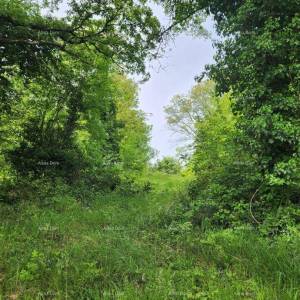 POREČ - Prodaje se građevinsko zemljište, 12000m2