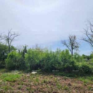 POREČ - Prodaje se građevinsko zemljište, 12000m2