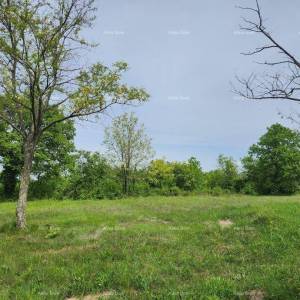 POREČ - Prodaje se građevinsko zemljište, 12000m2