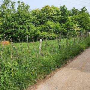 POREČ - Prodaje se građevinsko zemljište, 12000m2