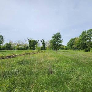 POREČ - Prodaje se građevinsko zemljište, 12000m2