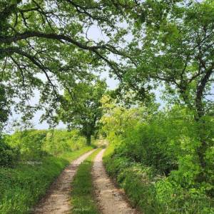 POREČ - Prodaje se građevinsko zemljište, 12000m2