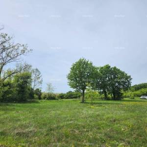 POREČ - Prodaje se građevinsko zemljište, 12000m2