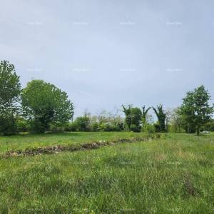 POREČ - Prodaje se građevinsko zemljište, 12000m2