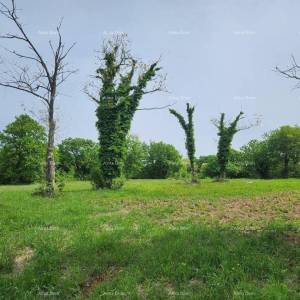 POREČ - Prodaje se građevinsko zemljište, 12000m2