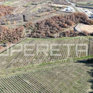 Posedarje – gospodarsko zemljište 25.000 m² uz magistralu, top lokacija