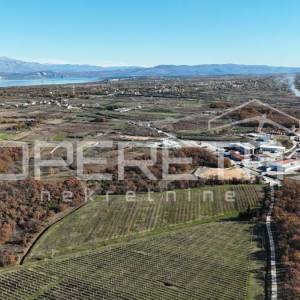 Posedarje – gospodarsko zemljište 25.000 m² uz magistralu, top lokacija