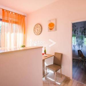 Potok, 2-soban s dnevnim boravkom, adaptiran i namješten