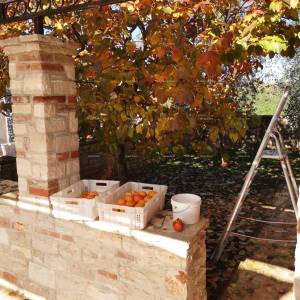 Prekrasna kuća s velikim bazenom. BLIZINA KAŠTELIRA.