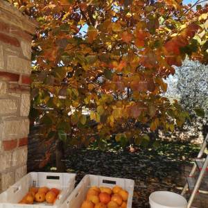 Prekrasna kuća s velikim bazenom. BLIZINA KAŠTELIRA.