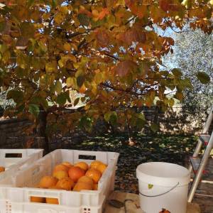 Prekrasna kuća s velikim bazenom. BLIZINA KAŠTELIRA.