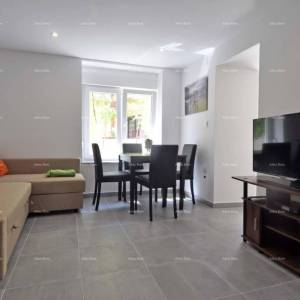 Premantura! Kuća s dva apartmana!