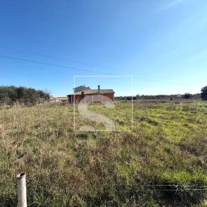 PRILIKA! Građevinsko zemljište s dozvolom - Šišan