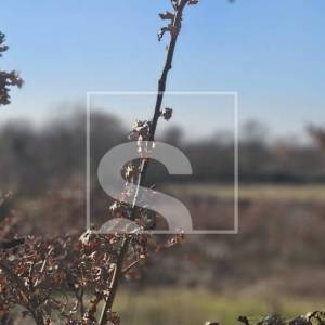 Privatnost, pogled i priroda – idealna građevinska parcela