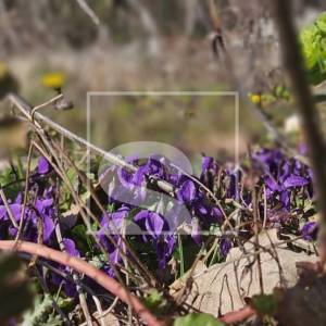 Privatnost, pogled i priroda – idealna građevinska parcela