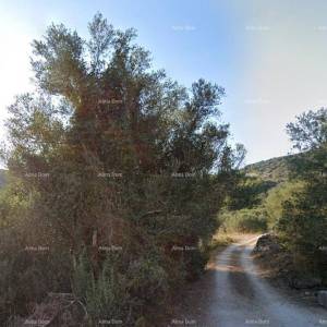 Prodaja građevinskog zemljišta, 350 m udaljeno od mora Vela Luka, Korčula!