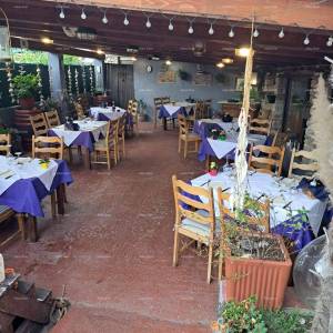 Prodaja- kuća sa konobom, velikom terasom, dva trosobna stana, dvorištem. Odlična prilika za investiranje!