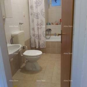 Prodaja kuće sa dvorištem i velikim zemljištem, Barban