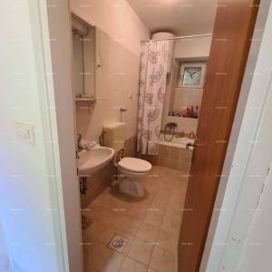 Prodaja kuće sa dvorištem i velikim zemljištem, Barban