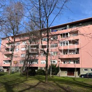 Prodaja, Stan, Cvjetno naselje, Veslačka, 3s, 60m2