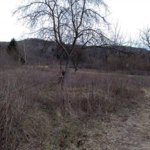 Prodaja, Zemljište, Negrađevinsko, Karlovačka županija, Barilović