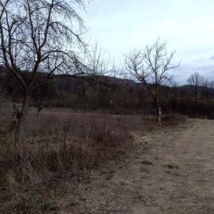 Prodaja, Zemljište, Negrađevinsko, Karlovačka županija, Barilović