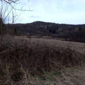 Prodaja, Zemljište, Negrađevinsko, Karlovačka županija, Barilović