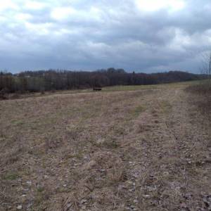 Prodaja, Zemljište, Negrađevinsko, Karlovačka županija, Barilović