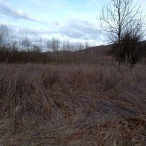 Prodaja, Zemljište, Negrađevinsko, Karlovačka županija, Barilović