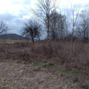 Prodaja, Zemljište, Negrađevinsko, Karlovačka županija, Barilović