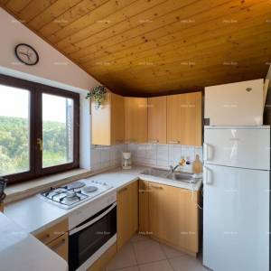 Prodajemo kuću sa sedam apartmana na velikoj okućnici sa bazenom i garažom. Banjole